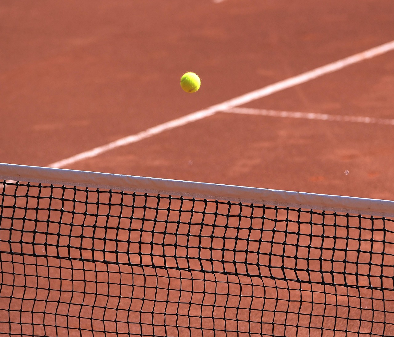 tennis, tennis court, clay court, web, ball, tennis ball, tennis, tennis, tennis court, tennis court, tennis court, tennis court, tennis court